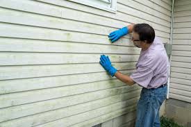 Affordable Siding Repair and Maintenance Services in North Branch, MI